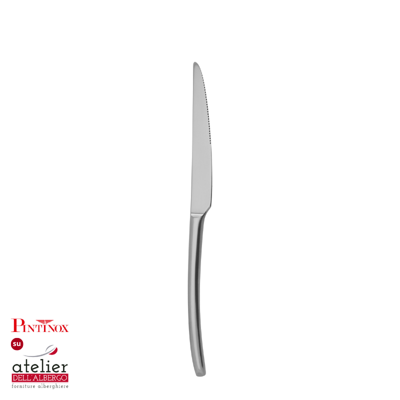 SYNTHESIS Coltelli Standing Knife Inox Lucido